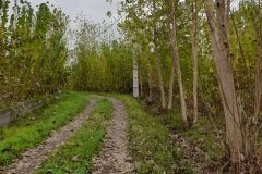 زمین روستایی رویایی