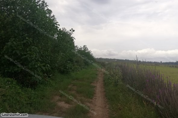 جاده به طرف مسکونی