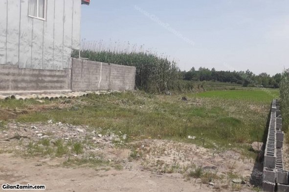 250 زمین مسکونی نزدیک به ساحل در طالب آباد منطقه آزاد انزلی