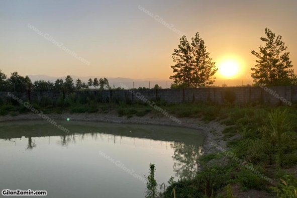 فروش باغ کیوی به همراه با استخر ماهی در روستای اشبلان