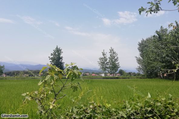 زمین شهرکی