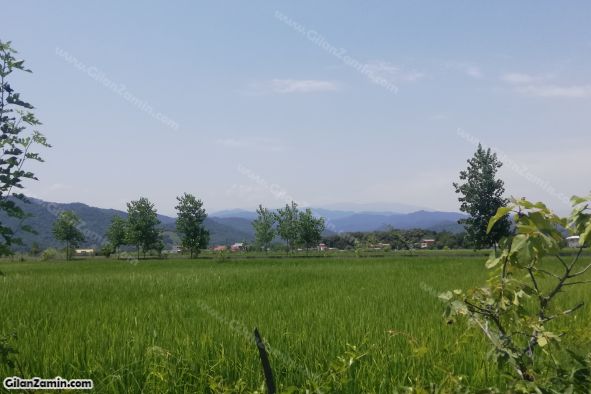 زمین شهرکی