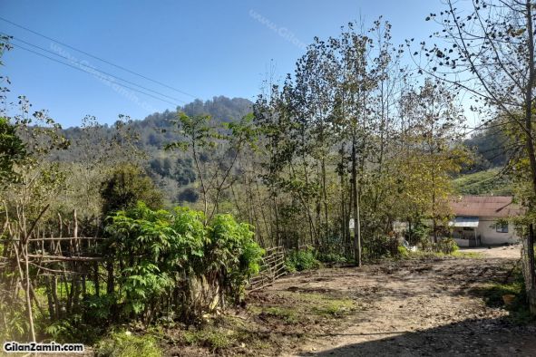 زمین کوهپایه