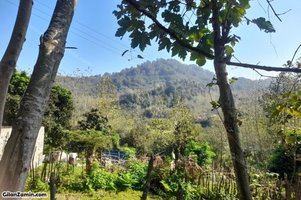 زمین کوهپایه