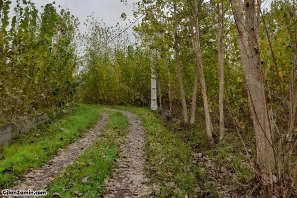 زمین روستایی رویایی