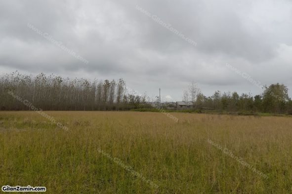 زمین روستایی رویایی