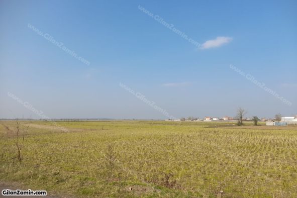 زمین برای شهرک سازی