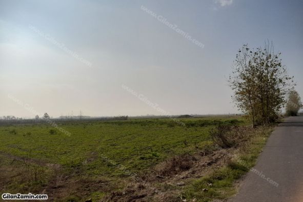 زمین برای شهرک سازی