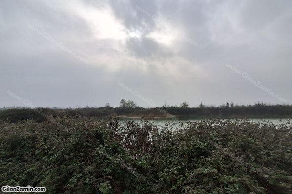 شالیزار هکتاری