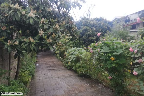 ویلا باغ سنتی