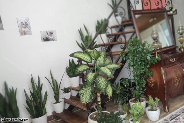 ویلا دوبلکس خوش قیمت